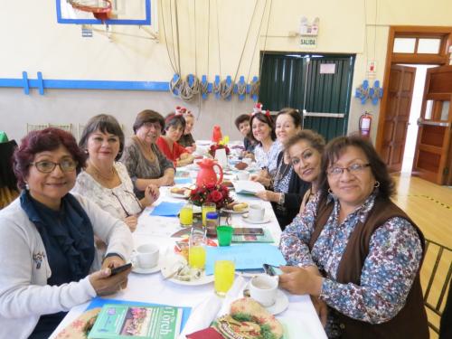 IMG 2505 (Mediano)